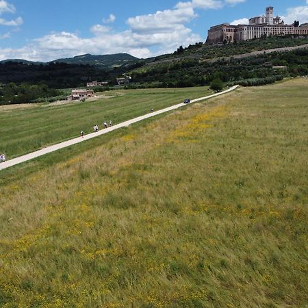 Agriturismo Molinella Villa Assisi Dış mekan fotoğraf