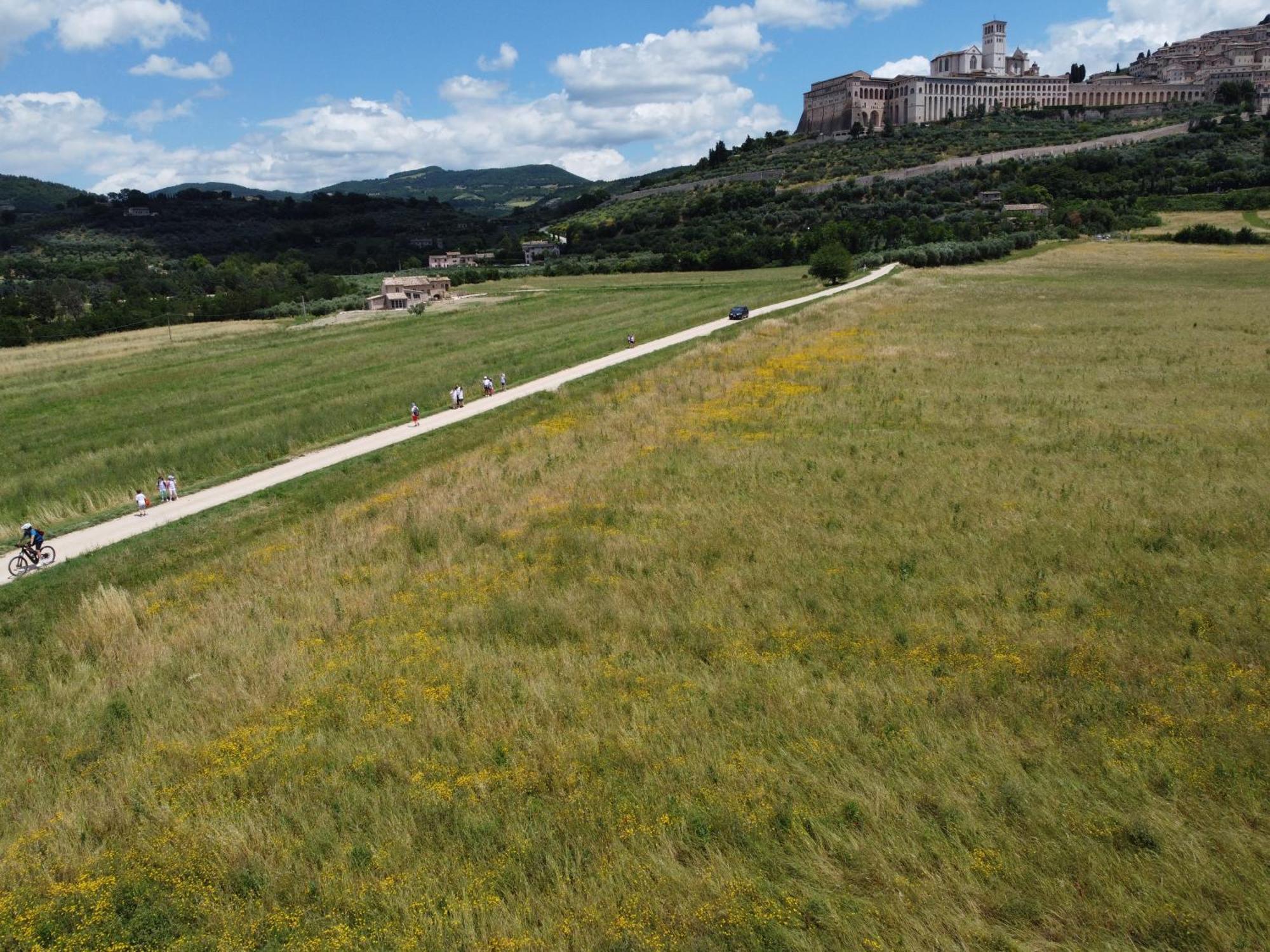Agriturismo Molinella Assisi Dış mekan fotoğraf