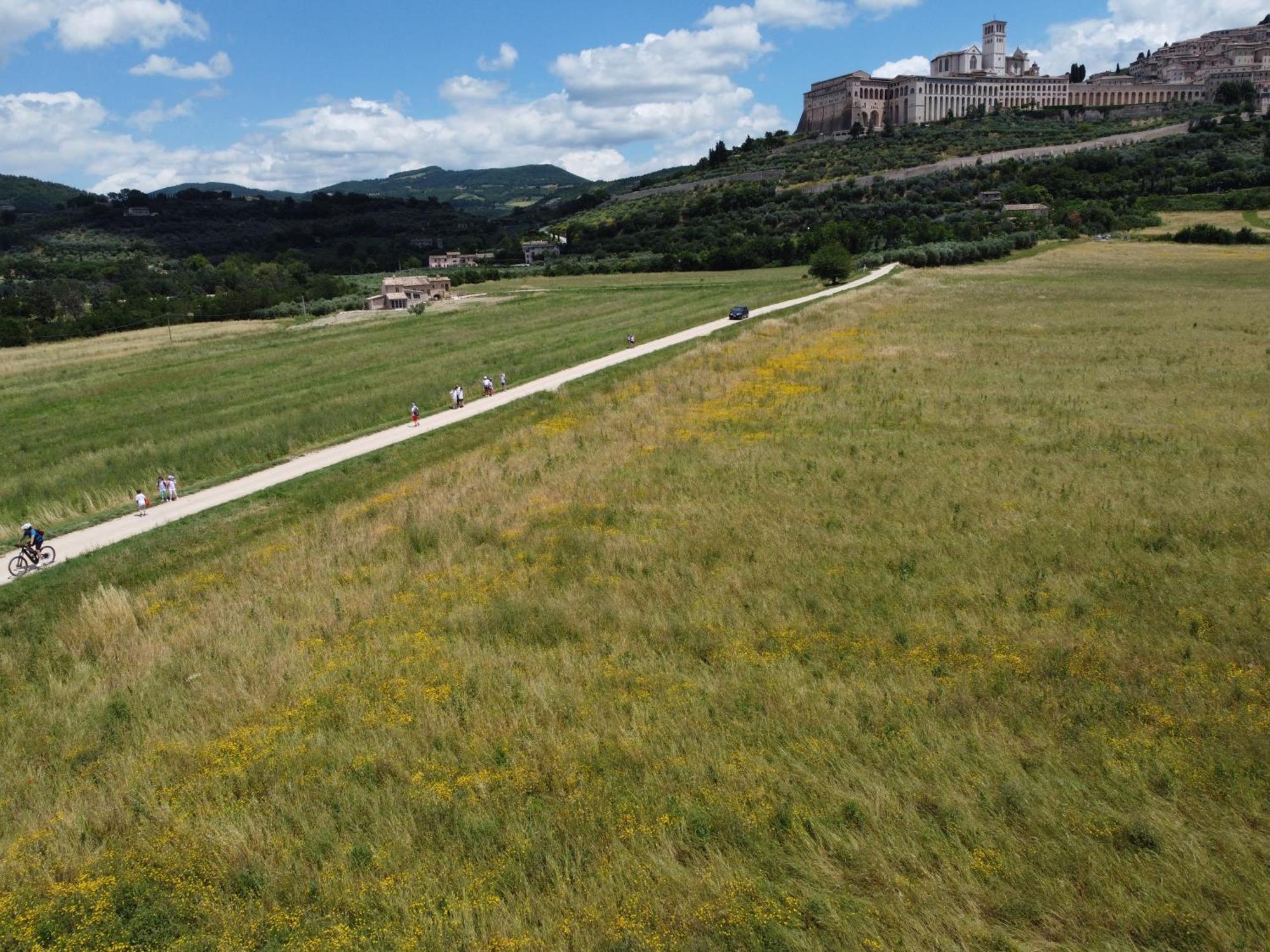 Agriturismo Molinella Villa Assisi Dış mekan fotoğraf